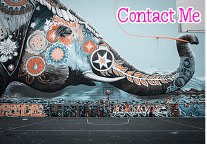 Contact Me Contact Me menu